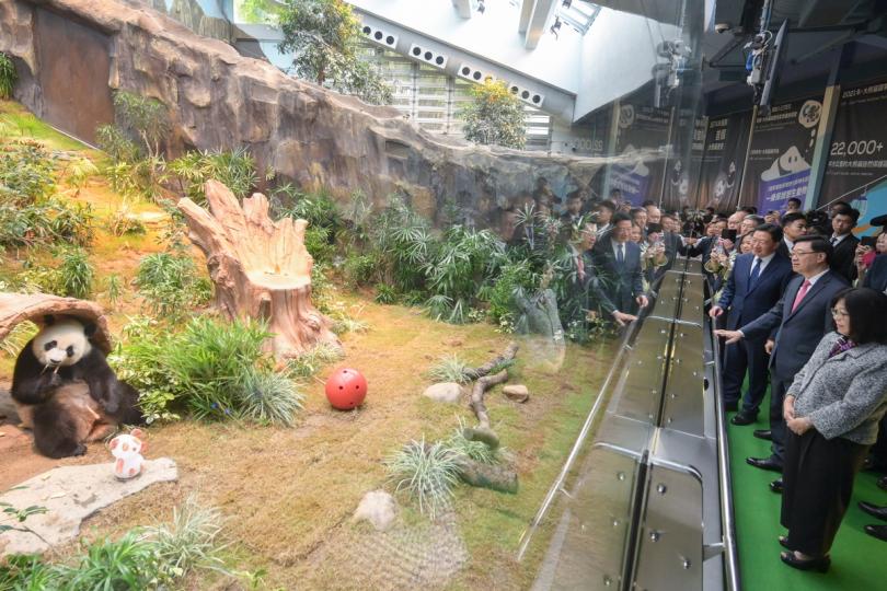 親善大使:  李家超（前排右二）與周霽（前排右三）在海洋公園參觀香港賽馬會四川奇珍館。
