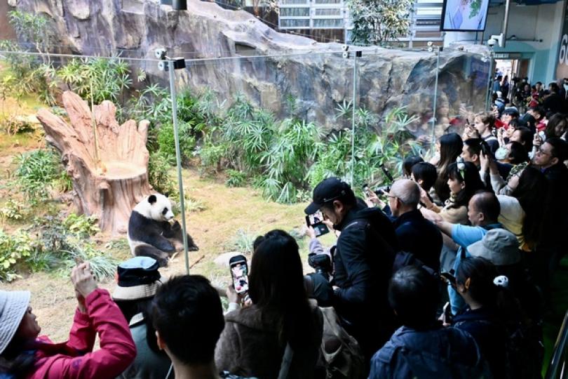 安心護理 可愛日常