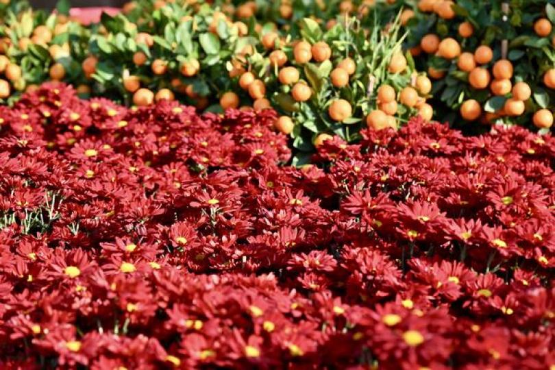 維園年宵市場四百個攤位租出 維園年宵市場四百個攤位租出