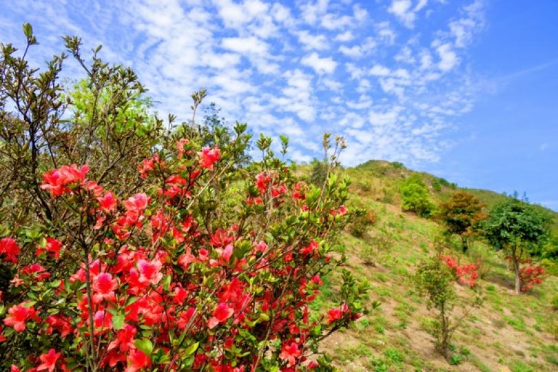 珠三角空氣污染物濃度持續下降
