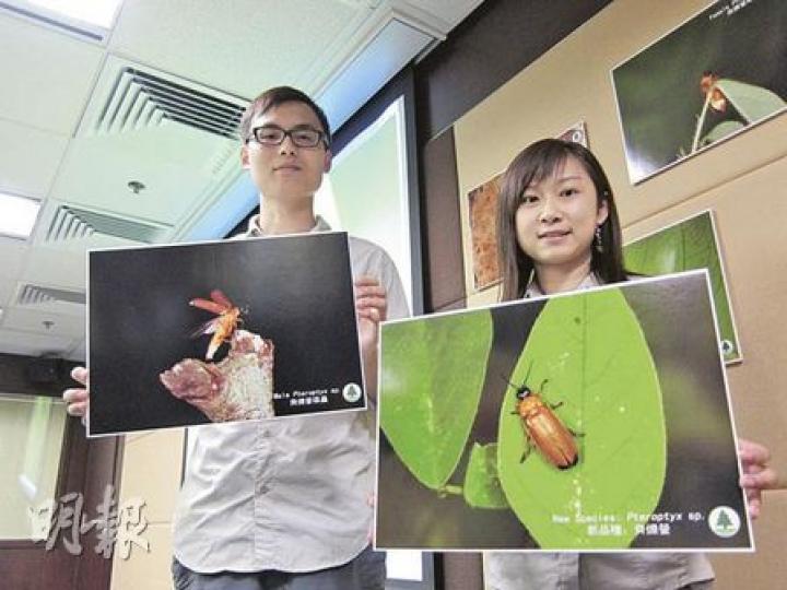 香港濕地公園展覽經理鄭翠如（右）2003年無意間發現全球首現的螢火蟲。左為漁護署自然護理主任施振翮。（馬耀森攝）