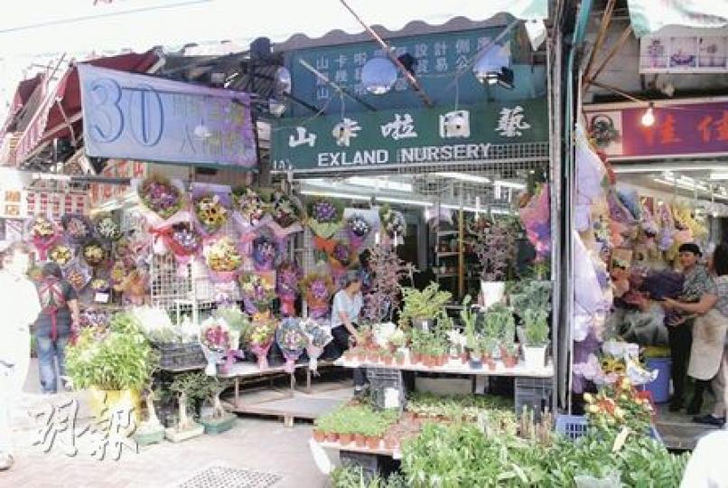 涉嫌出售迷幻仙人掌的花店昨日如常營業，但負責人拒絕回應任何提問。（劉友光攝）