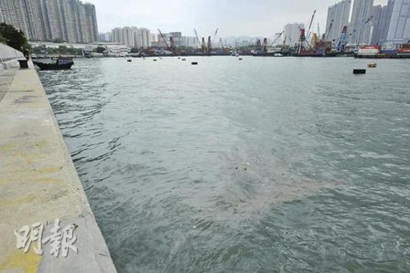 西九海濱長廊一帶有不少貴價屋苑，被發展商打造成高級海景區，但附近新油麻地避風塘的「海景」卻令環境大打折扣，除了清楚可見水面漂浮着大量「不明物體」，海水亦不時傳出異味，居民多番投訴亦未見改善。（葉漢華攝）香港公開大學應用科技學院院長何建宗負責替新油麻地避風塘化驗水質，圖為他昨日在記者會上向傳媒展示一個在岸邊抽取的黑色沉積物樣本。（葉漢華攝）每天早上例必晨運的退休人士尹先生，偶然會被海濱長廊傳來的惡臭「趕走」，雖在維港灣居住卻無法隨時享受維港優美環境，無奈嘆說﹕「無辦法，習慣了（臭味）就不會太覺。」