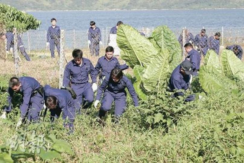 警方重點搜索隊隊員,昨日到西貢井頭村兇殺案現場附近草叢搜索兇器及證物。(黃雄攝) 警方重點搜索隊隊員,昨日到西貢井頭村兇殺案現場附近草叢搜索兇器及證物。(黃雄攝)