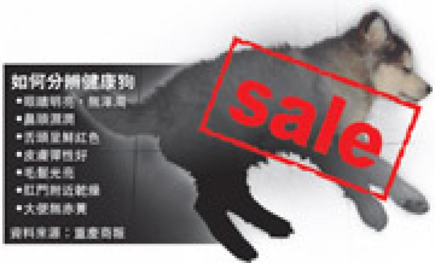 (明報製圖) (明報製圖)