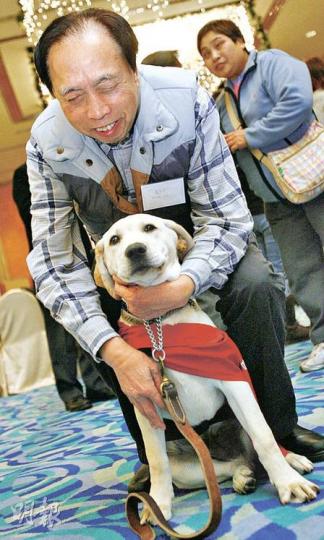 拉布拉多犬Google，訓練後預計最快一年半後，可移交至視障主人，協助他們過新生活。（林振東攝）