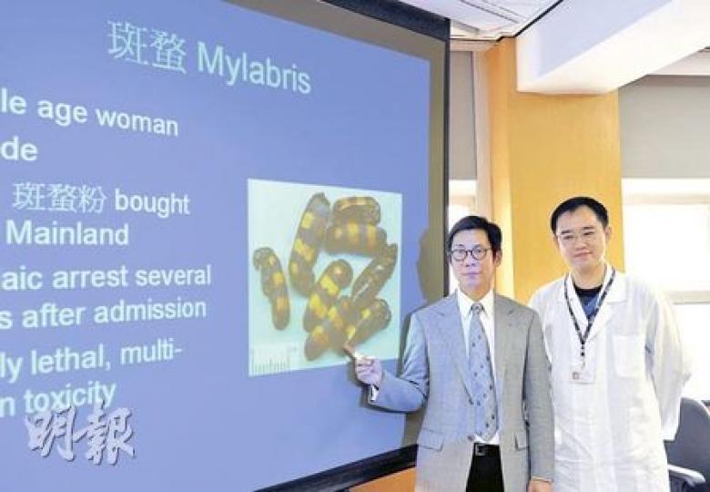 香港中毒諮詢中心副總監謝萬里醫生(左)說,去年曾接獲一宗服食劇毒甲蟲「斑蝥」來自殺的個案,服食者最後不治。旁為中心副顧問醫生陳志強。後圖為含劇毒的斑蝥,只需半指甲分量即可致死。(曾愛盈攝) 香港中毒諮詢中心副總監謝萬里醫生(左)說,去年曾接獲一宗服食劇毒甲蟲「斑蝥」來自殺的個案,服食者最後不治。旁為中心副顧問醫生陳志強。後圖為含劇毒的斑蝥,只需半指甲分量即可致死。(曾愛盈攝)