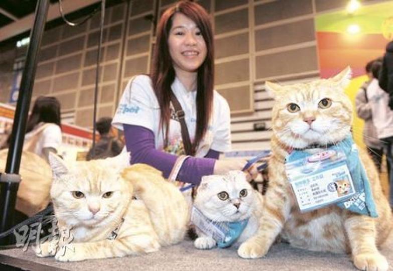 動物醫生「阿豬」(左起)、「Marie」和「法拉利」和主人黃綺珊昨日一同出席「動物醫生宣誓就職典禮2011」。(劉焌陶攝)狗主Michelle和狗狗Horlick 齊齊出席「動物醫生宣誓典禮2011」,Horlick會玩雜耍,圖中牠正表演如何「Give me five」。(余卓善攝) 動物醫生「阿豬」(左起)、「Marie」和「法拉利」和主人黃綺珊昨日一同出席「動物醫生宣誓就職典禮2011」。(劉焌陶攝)狗主Michelle和狗狗Horlick 齊齊出席「動物醫生宣誓典禮2011」,Horlick會玩雜耍,圖中牠正表演如何「Give me five」。(余卓善攝)