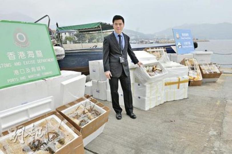 水警港外區特遺隊主管高級督察馬耀光展示,水警與海關前晚聯合打擊走私行動所檢獲的46箱走私海鮮,包括鮮活龍蝦和象拔蚌等,價值37萬元。(林錫禮攝) 水警港外區特遺隊主管高級督察馬耀光展示,水警與海關前晚聯合打擊走私行動所檢獲的46箱走私海鮮,包括鮮活龍蝦和象拔蚌等,價值37萬元。(林錫禮攝)