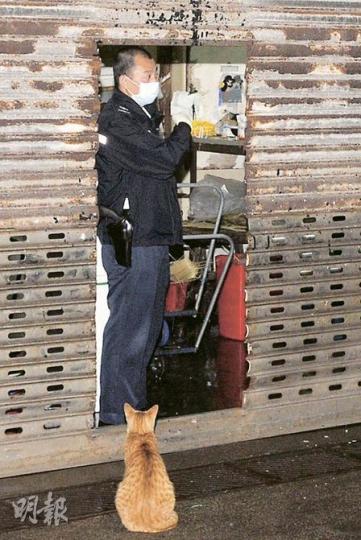 西環副食品市場一間魚檔昨午有女工被發現上吊身亡,女死者生前飼養的花貓,似乎知道主人已經走了,徘徊良久「喵喵」哀鳴。(林錫禮攝) 西環副食品市場一間魚檔昨午有女工被發現上吊身亡,女死者生前飼養的花貓,似乎知道主人已經走了,徘徊良久「喵喵」哀鳴。(林錫禮攝)