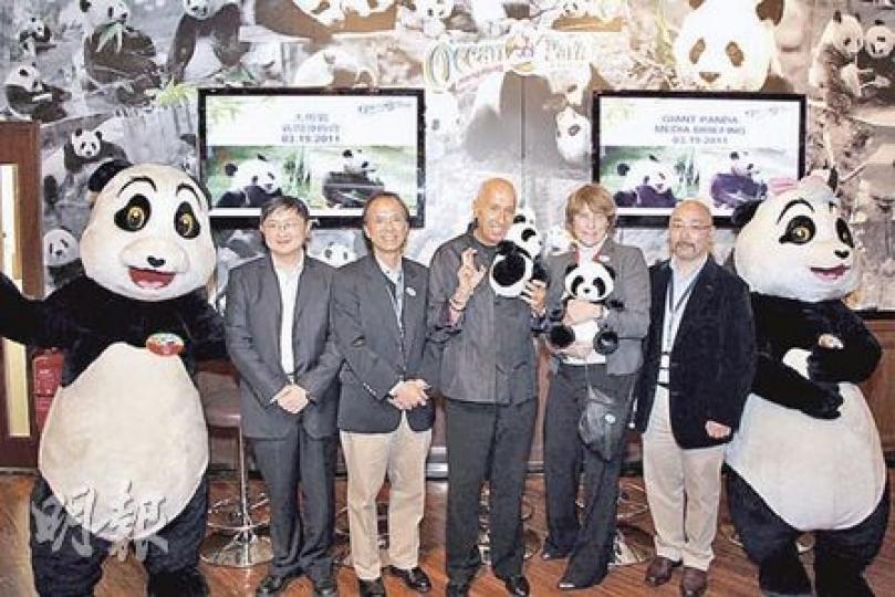 海洋公園主席盛智文(中)昨日與一眾同事及中國保護大熊貓研究中心獸醫主管王承東(左一)會見記者,其間盛智文多次交叉手指,祝願盈盈、樂樂順利誕下小寶寶。(歐文瀚攝) 海洋公園主席盛智文(中)昨日與一眾同事及中國保護大熊貓研究中心獸醫主管王承東(左一)會見記者,其間盛智文多次交叉手指,祝願盈盈、樂樂順利誕下小寶寶。(歐文瀚攝)