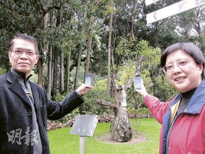 程式開發公司總裁互聯網專業協會會長鄧淑明(右)表示,完成開發「樹印2.0」程式後,得到鳳溪公立學校行政總裁馬紹良(左)協助,動員該校學生試用程式,因此樹印網站昨開始運作,地圖上已多了300多棵樹木。(馬耀森攝)(明報製圖) 程式開發公司總裁互聯網專業協會會長鄧淑明(右)表示,完成開發「樹印2.0」程式後,得到鳳溪公立學校行政總裁馬紹良(左)協助,動員該校學生試用程式,因此樹印網站昨開始運作,地圖上已多了300多棵樹木。(馬耀森攝)(明報製圖)