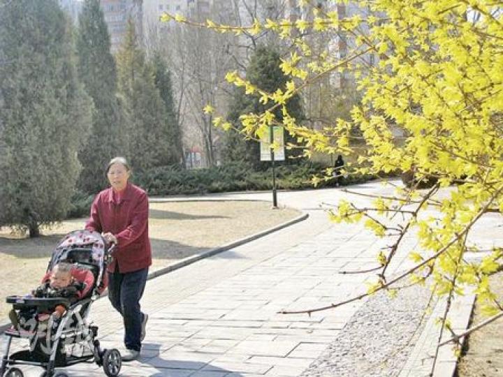 北京氣溫回升,春暖花開。昨日在方莊公園,樹枝上長滿綠葉,市民帶孩子來賞春。(劉洪慶攝)這名戴着眼罩的小童,由家長帶到公園看迎春花。(劉洪慶攝) 北京氣溫回升,春暖花開。昨日在方莊公園,樹枝上長滿綠葉,市民帶孩子來賞春。(劉洪慶攝)這名戴着眼罩的小童,由家長帶到公園看迎春花。(劉洪慶攝)