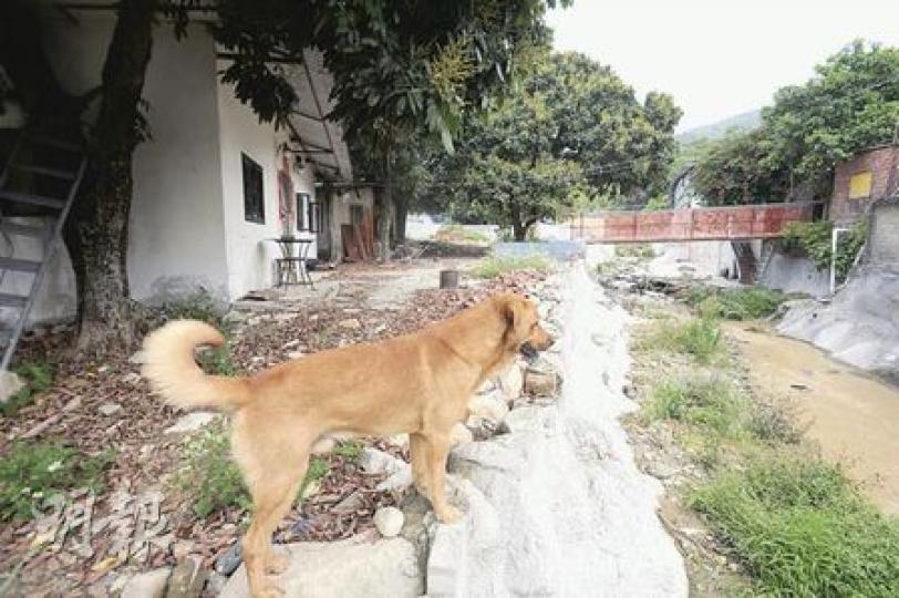 死者林榮益當日雙手抓住家門鐵閘(左),家中所養的一頭狗及門外鐵橋被相繼冲走後,他亦被洪水冲去。(朱永倫攝)死者林榮益妻子司徒美玉(左)及兒子林泳桂(右)昨出席死因研訊,其後與親友表示,想透過公平研訊找出死因。(朱永倫攝) 死者林榮益當日雙手抓住家門鐵閘(左),家中所養的一頭狗及門外鐵橋被相繼冲走後,他亦被洪水冲去。(朱永倫攝)死者林榮益妻子司徒美玉(左)及兒子林泳桂(右)昨出席死因研訊,其後與親友表示,想透過公平研訊找出死因。(朱永倫攝)