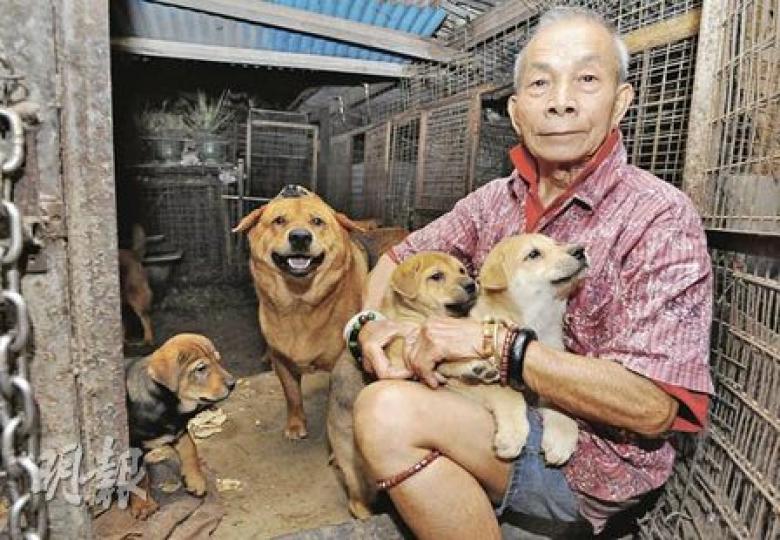 與新世界對簿公堂的余紹卓,愛護貓狗情深,他聲言與地產商打官司,只為一班寵物保留安樂窩。(鍾炳然攝) 與新世界對簿公堂的余紹卓,愛護貓狗情深,他聲言與地產商打官司,只為一班寵物保留安樂窩。(鍾炳然攝)
