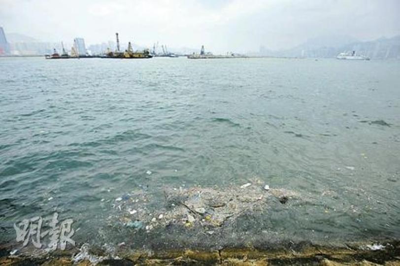 在土瓜灣海心公園附近已嗅到惡臭,有團體測試後發現這裏每百毫升海水含5萬至23萬粒大腸桿菌,有專家更形容水質「與屎水差不多」。(葉漢華攝) 在土瓜灣海心公園附近已嗅到惡臭,有團體測試後發現這裏每百毫升海水含5萬至23萬粒大腸桿菌,有專家更形容水質「與屎水差不多」。(葉漢華攝)