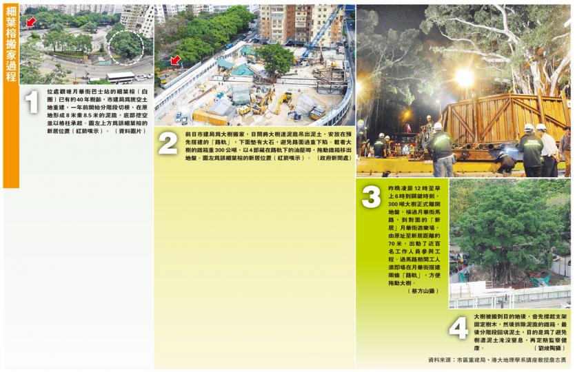 (明報製圖) (明報製圖)