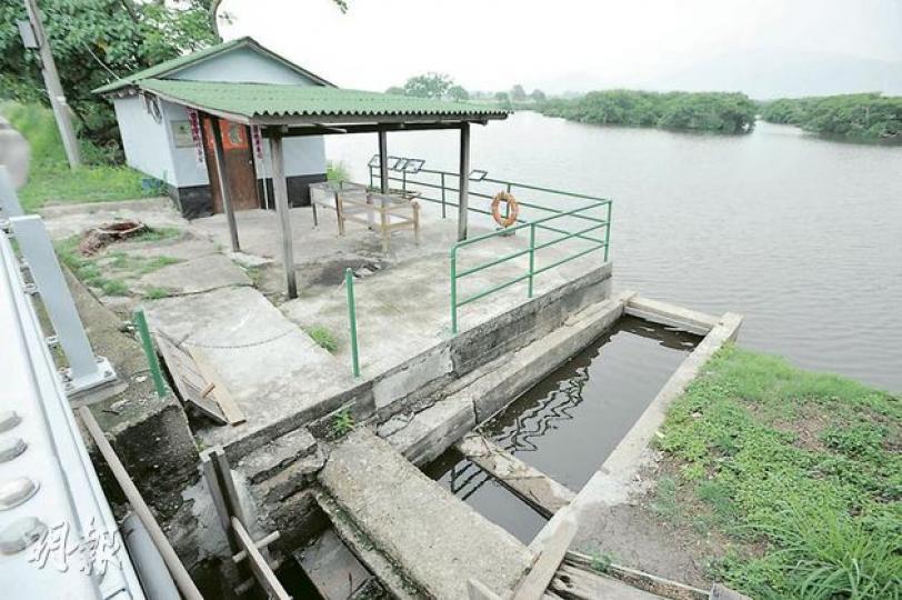 米埔的基圍（圖）仍以傳統方式養蝦，市民可參加基圍濕地時光之旅，參觀基圍博物館及參與收基圍蝦等。（葉漢華攝）