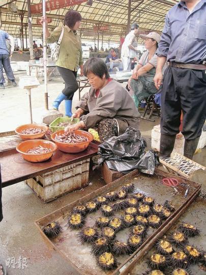 蓬萊水產市場新鮮海產顧客不多,買賣冷清。(明報記者攝) 蓬萊水產市場新鮮海產顧客不多,買賣冷清。(明報記者攝)