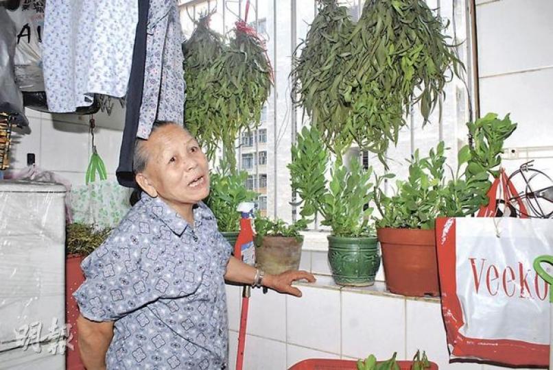 黎婆婆在窗前掛上尤加利葉,她指昨凌晨有人爬入時葉子發出「沙沙」異響,令她及時離家逃生,否則後果難料。(梁琬珊攝) 黎婆婆在窗前掛上尤加利葉,她指昨凌晨有人爬入時葉子發出「沙沙」異響,令她及時離家逃生,否則後果難料。(梁琬珊攝)