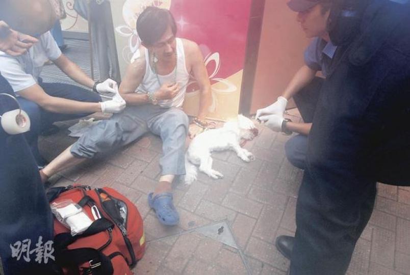 狗主許先生負傷將西施狗仔屍體抱回路旁後,一臉無奈地接受救護員治理。(雲錦鋒攝)交通警員其後在肇事警車一旁調查,檢查撞倒小狗的警車左邊車頭。(雲錦鋒攝) 狗主許先生負傷將西施狗仔屍體抱回路旁後,一臉無奈地接受救護員治理。(雲錦鋒攝)交通警員其後在肇事警車一旁調查,檢查撞倒小狗的警車左邊車頭。(雲錦鋒攝)