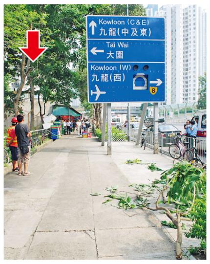 豬腸豆樹椏由約8米高折斷塌下(箭嘴示),其後被拖至路邊(圖右下),警方亦將樹椏塌下的位置封鎖並交由樹木辦職員調查。(雲錦鋒攝)在大圍遭斷樹椏擊中頭部的女傷者,幸未有嚴重受傷,送院時清醒。(雲錦鋒攝) 豬腸豆樹椏由約8米高折斷塌下(箭嘴示),其後被拖至路邊(圖右下),警方亦將樹椏塌下的位置封鎖並交由樹木辦職員調查。(雲錦鋒攝)在大圍遭斷樹椏擊中頭部的女傷者,幸未有嚴重受傷,送院時清醒。(雲錦鋒攝)