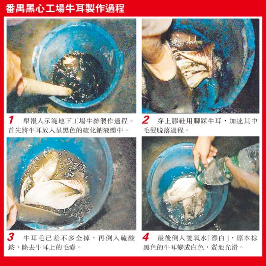 (明報製圖) (明報製圖)