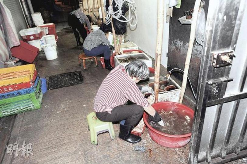 在廟街興記附近的餐廳,將舖後後巷化作洗碗位置,有職員於「黑水」中清洗砂煲。(尹錦恩攝) 在廟街興記附近的餐廳,將舖後後巷化作洗碗位置,有職員於「黑水」中清洗砂煲。(尹錦恩攝)