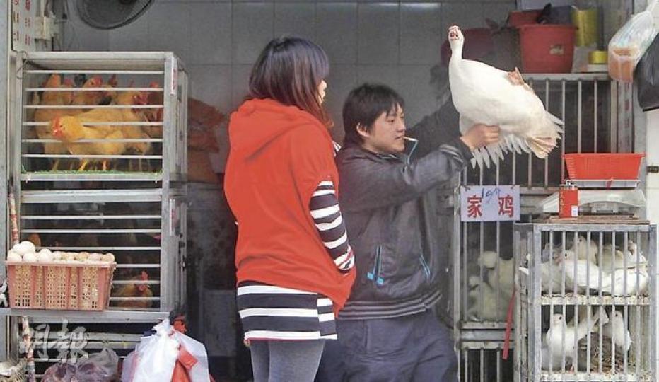鄰近落馬洲的福田口岸街市,雞檔員工沒戴口罩並徒手捉禽鳥,顧客亦習以為常。(林振東攝) 鄰近落馬洲的福田口岸街市,雞檔員工沒戴口罩並徒手捉禽鳥,顧客亦習以為常。(林振東攝)
