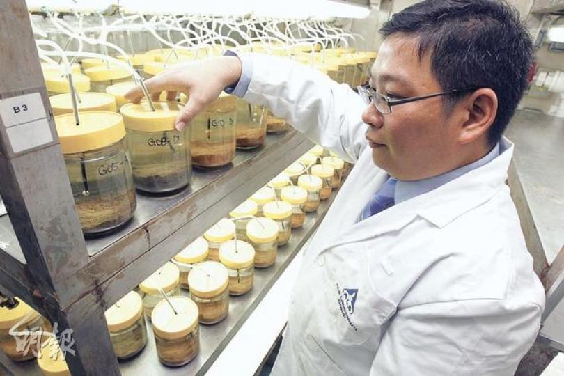 （李紹昌攝）