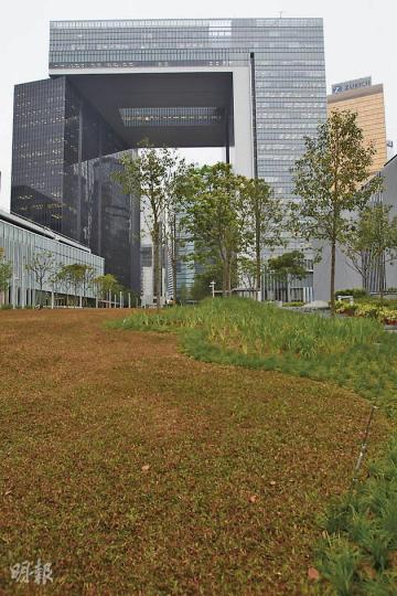 新政府總部以「地常綠」為設計概念,惟添馬公園大片「綠地氈」(左下)屬亞熱帶品種,會因寒冷天氣而變黃,右方的植物屬另一品種,雖然常綠,但不適宜遊人踐踏。(林振東攝) 立法會6樓的洗手間出入口,有電掣仍未鋪蓋,令電線外露。工聯會黃國健擔心有職員會因不慎錯手而觸電。(林振東攝) 會議廳4的控制室(右上)因位置設計有誤,室內工作人員無法看見背向控制室一方的議員(箭嘴示)何時發言,而未能適時為他們開關米高峰,令會議出現混亂。(林振東攝) 新政府總部以「地常綠」為設計概念,惟添馬公園大片「綠地氈」(左下)屬亞熱帶品種,會因寒冷天氣而變黃,右方的植物屬另一品種,雖然常綠,但不適宜遊人踐踏。(林振東攝) 立法會6樓的洗手間出入口,有電掣仍未鋪蓋,令電線外露。工聯會黃國健擔心有職員會因不慎錯手而觸電。(林振東攝) 會議廳4的控制室(右上)因位置設計有誤,室內工作人員無法看見背向控制室一方的議員(箭嘴示)何時發言,而未能適時為他們開關米高峰,令會議出現混亂。(林振東攝)