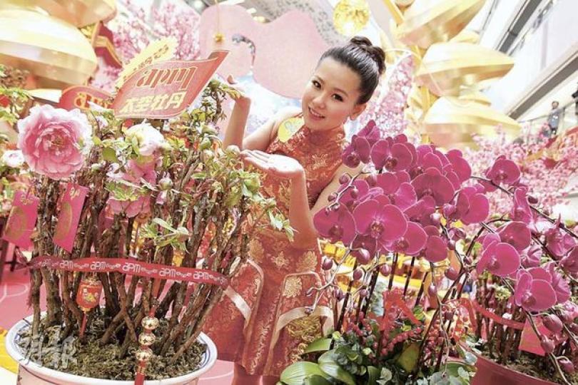 觀塘有商場花500萬向本地及內地花商租借特色年花,為場地增添賀年氣氛盼吸引人流。其中價值百萬的「太空牡丹」(左)的原生種子曾被帶上太空,令種出來的花朵較大、色澤較鮮明。(林振東攝) 觀塘有商場花500萬向本地及內地花商租借特色年花,為場地增添賀年氣氛盼吸引人流。其中價值百萬的「太空牡丹」(左)的原生種子曾被帶上太空,令種出來的花朵較大、色澤較鮮明。(林振東攝)