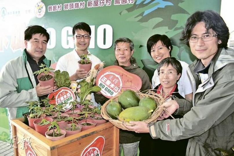 環保團體以新界4條偏僻村落為試點,建議農戶砍伐現有木瓜樹,改種無基因改造的木瓜樹苗,估計今年底首批無被「基因污染」的木瓜便可出產,讓市民可一嘗純天然食品。(林耀華攝) 環保團體以新界4條偏僻村落為試點,建議農戶砍伐現有木瓜樹,改種無基因改造的木瓜樹苗,估計今年底首批無被「基因污染」的木瓜便可出產,讓市民可一嘗純天然食品。(林耀華攝)