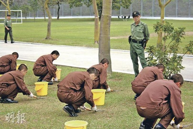 在懲教所內每日有4小時的工作,包括洗衫、煮飯、剪草及維修設施。圖為受訓生剪草,他們做每一個步驟都須依從長官口頭指示。(林耀華攝) 在懲教所內每日有4小時的工作,包括洗衫、煮飯、剪草及維修設施。圖為受訓生剪草,他們做每一個步驟都須依從長官口頭指示。(林耀華攝)