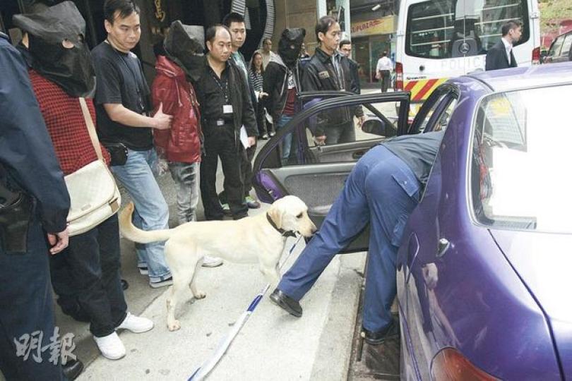 警方衝鋒隊警員在寶勒巷截停可疑私家車,在車上檢獲2公斤懷疑K仔,拘捕司機及兩名男乘客,警犬到場協助搜毒。(黃雄攝) 警方衝鋒隊警員在寶勒巷截停可疑私家車,在車上檢獲2公斤懷疑K仔,拘捕司機及兩名男乘客,警犬到場協助搜毒。(黃雄攝)