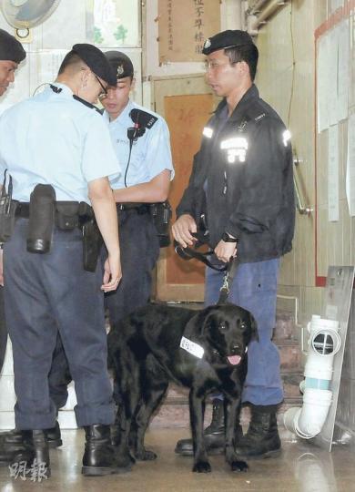 警方在吳松街一間曾多次揭發有未成年女公關的夜總會採取行動,緝毒犬亦同行,以確認現場是否有毒品。(蔡方山攝) 警方在吳松街118號一間夜總會帶走多名未成年少女協助調查,懷疑部分人受聘為夜總會公關,圖中3名被帶走少女依次為(前右起)13、14及15歲。(蔡方山攝) 警方在吳松街一間曾多次揭發有未成年女公關的夜總會採取行動,緝毒犬亦同行,以確認現場是否有毒品。(蔡方山攝) 警方在吳松街118號一間夜總會帶走多名未成年少女協助調查,懷疑部分人受聘為夜總會公關,圖中3名被帶走少女依次為(前右起)13、14及15歲。(蔡方山攝)