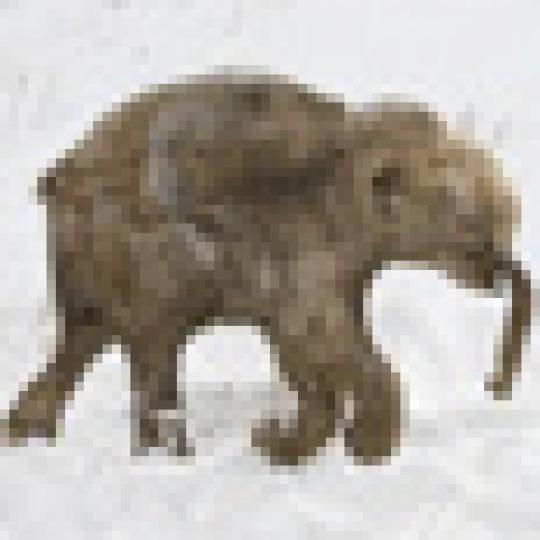 f951532c271d748382be17ff9dacebec