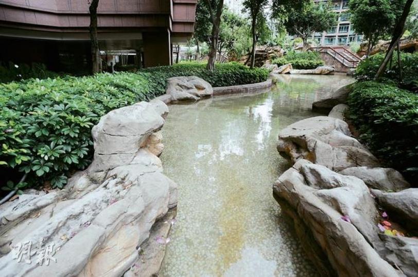 馬鞍山聽濤雅苑內設有園林式人工湖,管業處曾安排捕蛙行動,但最後未有發現。(劉焌陶攝) (明報製圖) 馬鞍山聽濤雅苑內設有園林式人工湖,管業處曾安排捕蛙行動,但最後未有發現。(劉焌陶攝) (明報製圖)