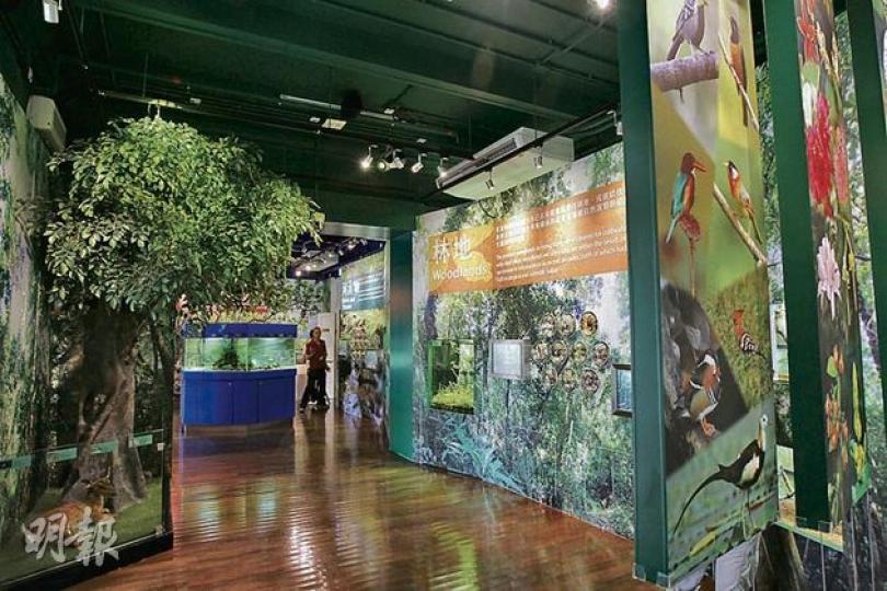 教育中心分為3個展覽廊,介紹香港的自然生態,並展出數款珍貴物種。(李紹昌攝)市民可從魚缸下方探頭近距離欣賞動物。(李紹昌攝) 教育中心分為3個展覽廊,介紹香港的自然生態,並展出數款珍貴物種。(李紹昌攝)市民可從魚缸下方探頭近距離欣賞動物。(李紹昌攝)