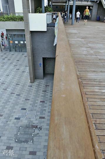 （林錫禮攝）