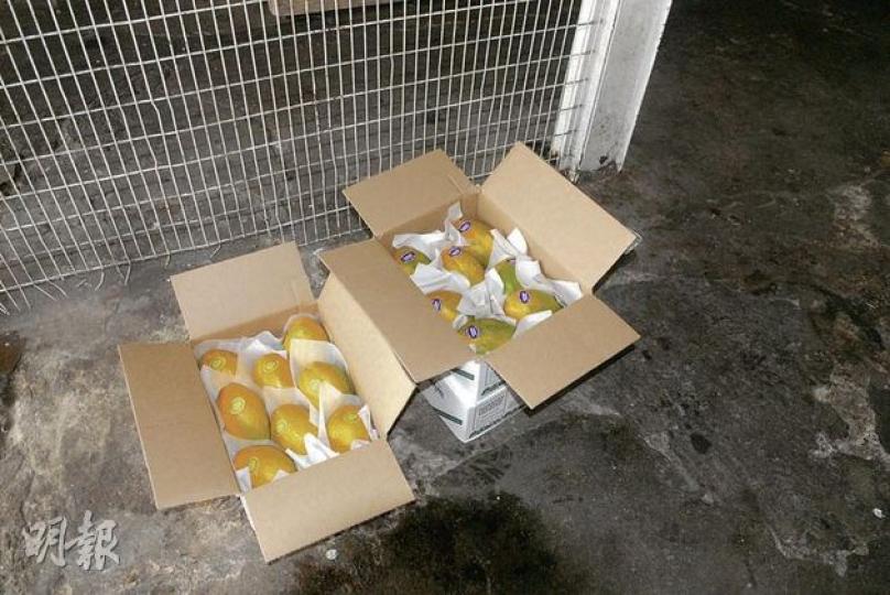 圖為與被偷同款、每箱值200多元的夏威夷木瓜,包括價值較高的樹上木瓜(左)。(楊嘉欣攝) 圖為與被偷同款、每箱值200多元的夏威夷木瓜,包括價值較高的樹上木瓜(左)。(楊嘉欣攝)