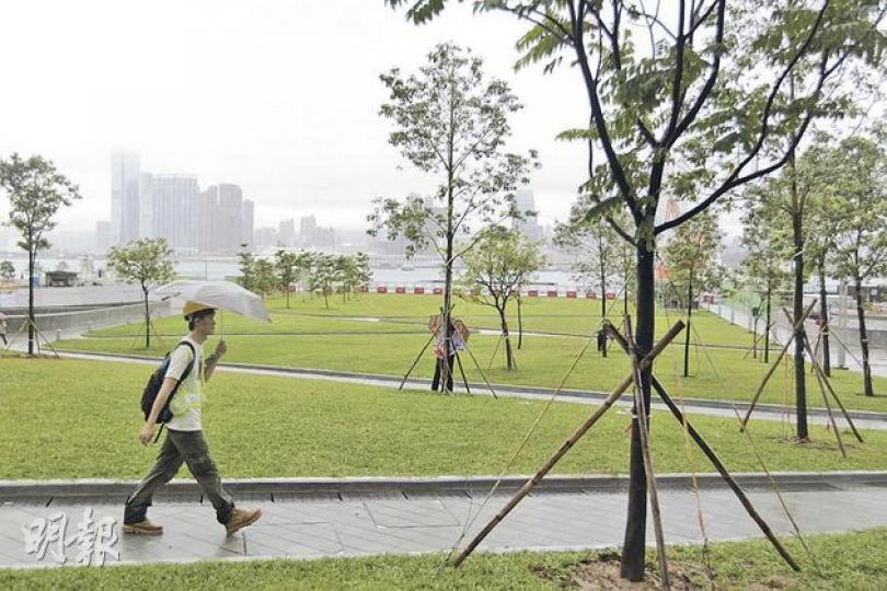添馬公園有30棵樹受颱風吹倒,康文署昨日已派員將部分塌樹扶正,重種於原位。(郭慶輝攝) 添馬公園有30棵樹受颱風吹倒,康文署昨日已派員將部分塌樹扶正,重種於原位。(郭慶輝攝)