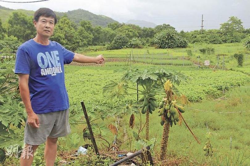 55歲的黎永權與太太多年來均居於馬屎埔村,並在此耕種,是港產農戶。他指早年已經歷農地被發展商收回一役,今天亦可能會面對地政總署前來收地,坦言政府無情。他現時只能以平常心面對「失業」,並期望署方善待未收割的農作物。(鄭穎瑩攝) 55歲的黎永權與太太多年來均居於馬屎埔村,並在此耕種,是港產農戶。他指早年已經歷農地被發展商收回一役,今天亦可能會面對地政總署前來收地,坦言政府無情。他現時只能以平常心面對「失業」,並期望署方善待未收割的農作物。(鄭穎瑩攝)