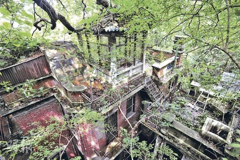 已有90年歷史的一級歷史建築南固臺,二戰後一直丟空,1990年代由合和收購並承諾保育,但目前仍未有任何保育時間表。記者日前到場觀察,只見內裏滿佈雜草和青苔,牆身亦破損。(鄧宗弘攝) 從大宅入口往內望,可見鐵欄和鐵閘已生鏽,牆身亦有發霉,部分外牆被塗上油漆,門口的保安亭則無人駐守。(鄧宗弘攝) 已有90年歷史的一級歷史建築南固臺,二戰後一直丟空,1990年代由合和收購並承諾保育,但目前仍未有任何保育時間表。記者日前到場觀察,只見內裏滿佈雜草和青苔,牆身亦破損。(鄧宗弘攝) 從大宅入口往內望,可見鐵欄和鐵閘已生鏽,牆身亦有發霉,部分外牆被塗上油漆,門口的保安亭則無人駐守。(鄧宗弘攝)