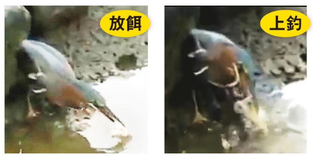 (明報製圖) (明報製圖)