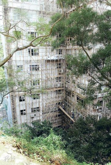 淺水灣麗景園兩單位連環爆竊,損失逾10萬元。警方消息不排除賊人從斜坡潛入屋苑,再由維修外牆的棚架(圖)爬到樓上單位潛入犯案。(楊嘉欣攝) 淺水灣麗景園兩單位連環爆竊,損失逾10萬元。警方消息不排除賊人從斜坡潛入屋苑,再由維修外牆的棚架(圖)爬到樓上單位潛入犯案。(楊嘉欣攝)