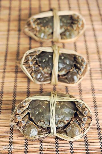 大閘蟹(葉思雅攝)新三陽主要供應太湖大閘蟹,陽澄湖和其餘江蘇貨亦有供應。(E)(葉思雅攝)新三陽南貨老闆陳長壽。(葉思雅攝)港灣壹號行政總廚李樹添。(葉思雅攝)見到這橙澄澄的「哈哈笑臉」(中華絨螯蟹 特徵),就知道又是吃大閘蟹的好時候。(時價,每隻約$600至$800,A)(林俊源攝)廣東與上海吃法最大不同,在於廣東人喜於煮蟹時放上紫蘇葉,驅寒辟腥。(林俊源攝) 大閘蟹(葉思雅攝)新三陽主要供應太湖大閘蟹,陽澄湖和其餘江蘇貨亦有供應。(E)(葉思雅攝)新三陽南貨老闆陳長壽。(葉思雅攝)港灣壹號行政總廚李樹添。(葉思雅攝)見到這橙澄澄的「哈哈笑臉」(中華絨螯蟹 特徵),就知道又是吃大閘蟹的好時候。(時價,每隻約$600至$800,A)(林俊源攝)廣東與上海吃法最大不同,在於廣東人喜於煮蟹時放上紫蘇葉,驅寒辟腥。(林俊源攝)