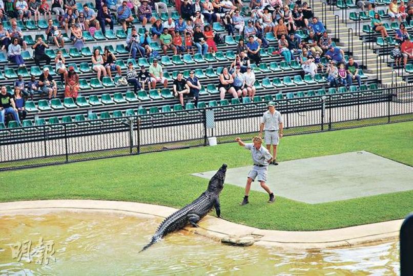 設有5000座位的Crocoseum，經過特別設計，鱷魚能從水缸潛游出來。（黃潔玲攝）鱷魚先生一家在營運澳洲動物園上花上不少心血，園內豎立了鱷魚先生一家四口的銅像。（黃潔玲攝）新增的非洲園區內飼養了犀牛和斑馬，據講動物還會陸續增加。（黃潔玲攝）工作人員展示園內代表性的四種澳洲野生動物，左起﹕黑鳳頭鸚鵡（Black Cockatoo）、袋熊（Wombat）、黑頭蟒蛇和樹熊。（黃潔玲攝）樹熊是澳洲的代表動物，參觀者不單能觀賞牠們，還有機會抱抱樹熊拍照（每次40澳元，約321港元，最多4人合照）。（黃