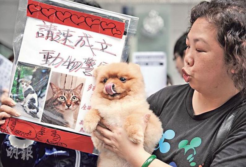 一批市民昨到警察總部請願,促盡快成立「動物警察」,有支持者帶同寵物到場聲援。(盧翊銘攝) 一批市民昨到警察總部請願,促盡快成立「動物警察」,有支持者帶同寵物到場聲援。(盧翊銘攝)
