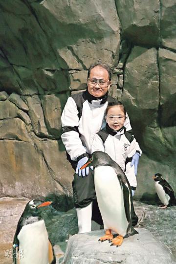 這數隻巴布亞企鵝在海洋公園出生,喜歡與人親近。(葉思雅攝)小朋友在訓練員及家長陪同下,想跟圓滾滾身形的斑海豹Liza來個愛的抱抱,不難!(葉思雅攝)巴布亞企鵝、南跳岩企鵝和國王企鵝在「南極奇觀」內相處融合。(葉思雅攝)(葉思雅攝) 這數隻巴布亞企鵝在海洋公園出生,喜歡與人親近。(葉思雅攝)小朋友在訓練員及家長陪同下,想跟圓滾滾身形的斑海豹Liza來個愛的抱抱,不難!(葉思雅攝)巴布亞企鵝、南跳岩企鵝和國王企鵝在「南極奇觀」內相處融合。(葉思雅攝)(葉思雅攝)